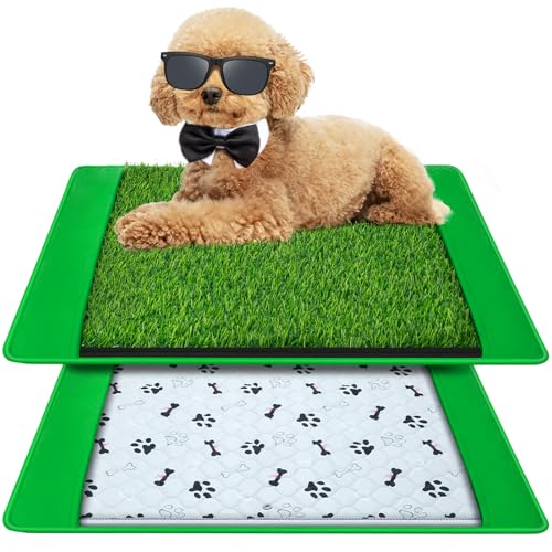 Annexfun Dog Grass Mat with Pee Pad 20×25", Small Dog Litter Box Indoor Artificial Turf Grass Porch Waterproof Patio Potty Tray for Doggie Reusable Washable and Lawn for Replacement Puppy Training PCS