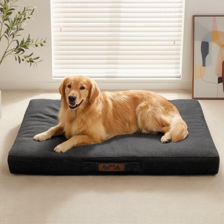 Sytopia PET Toys Black