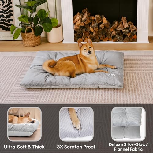 FUNNY FUZZY 2 in 1 Dog Bed Crate Pad Mat, Washable Reversible Floor Pet Mats,Fluffy Kennel Pad for Small Large Sized Dog,Indoor Cats,Sleeping Mattress, 23.6" × 17.9", Light Grey - color: Light Grey, size: 24"×18" Small