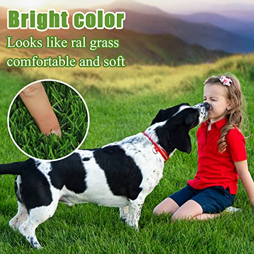 Bsmathom Artificial Grass Rug Indoor Outdoor Rug, 4x6Ft Artificial Grass Area Rug for Patio, Synthetic Artificial Grass Turf Fake Grass Rug with Drainage Holes for Balcony Garden Lawn Landscape - size: 4x6 Feet