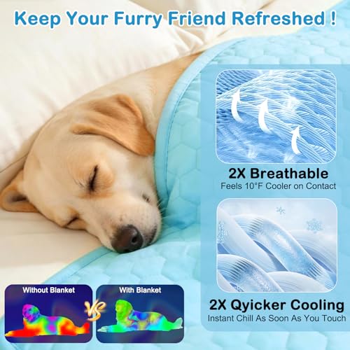 Vivifying Cooling Blanket for Dogs, Q-MAX>0.5 Reversible Ice Silk Dog Cooling Mat with Waterproof Layer, Soft Pet Throw Blanket for Couch, Bed, Crate, Floor, Breathable Summer Pet Pad, 40 x 60 Inches - size: L(40"x60")