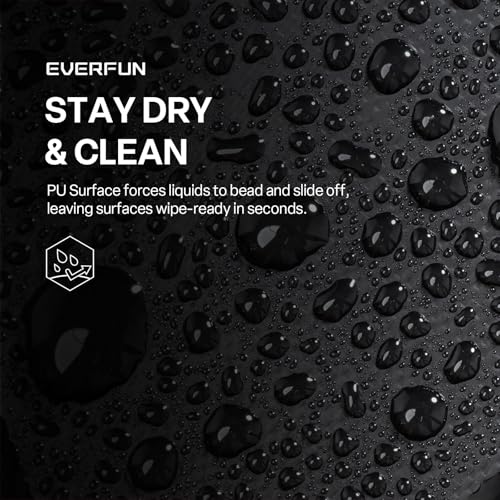 EVERFUN Small Compact Cooler Bag 24/48 Can Insulated Lunch Box Double Deck Soft Leak-Proof Waterproof Collapsible Ice Chest for Men Women Work Travel Car Trip Picnic Beach - color: Black, size: Medium