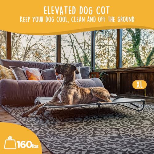 CANINE CANYON Daisy Cot, XL Foldable Elevated Dog Bed, Portable Raised Outdoor Folding Dog Cots, Cooling, Chew Proof, Waterproof, Heavy Duty Up to 160 lbs for Camping/Home, Grey, 49"x 33"x7" - color: Gray, size: X-Large