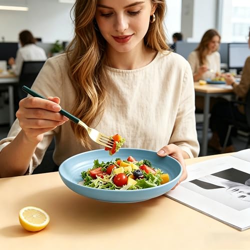 Wheat Straw Plates 4 Pack, BPA-Free Dinner Plates Set, Lightweight Reusable Plastic Plates, Microwave & Dishwasher Safe Salad Plates for Camping Kitchen, Blue - color: Light Blue