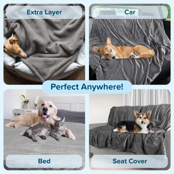 Waterproof Pet Blanket - 50x60-Inch Reversible Sherpa Fleece Throw Protects Couches, Cars, and Beds from Spills, Stains, and Fur by PETMAKER (Gray) - color: Gray, size: Small