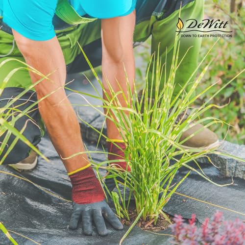 Dewitt 2-Pack Pro-5 Weed Barrier Fabric 5 oz, 4 x 250 Feet – Heavy-Duty Woven Landscape Ground Cover Mat for Raised Garden Bed, Greenhouse Gardening, Outdoor Landscaping, and Commercial Planting - size: 2 Pack, style: 4' x 250'