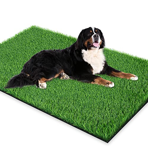 GLOBREEN Extra Large Artificial Grass for Dogs to Pee, Potty Training, Whelping, Puppy Fake Grass for Outdoor, Patio, Indoor, High Drainage, 59.1" x 31.5" - size: XXL: 59.1" x 31.5"