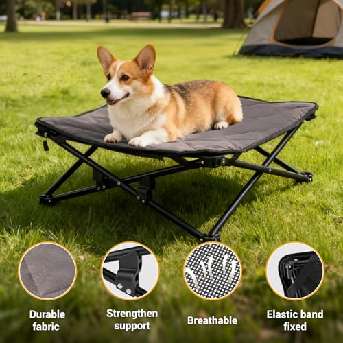 KingCamp Elevated Dog Bed for Medium Dogs, Outdoor Raised Cooling Pet Cot Bed with Washable Breathable Mesh & No-Slip Feet Perfect for Camping, Backyard, Indoor Use (Medium, Black) - size: 30.3"L x 30.3"W x 11.8"Th