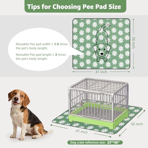 LOOBANI Washable Puppy Pads: Waterproof Reusable Pee Pads for Dogs, Non-Slip and Leak-Proof Dog Pee Mat, Absorbent Dog Training Pads for Puppy Playpen, Crate, Potty Training (36"x41", 2 Packs) - color: Green Daisy, size: 36"x41"(Pack of 2)