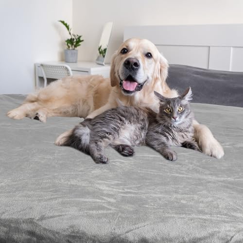 PETMAKER Dog Blanket - 60x80in Reversible Sherpa Blanket - Throw Blankets for Bed, Couch, Crate, or Car - Machine Washable Puppy Essentials (Gray) - color: Gray, size: Large