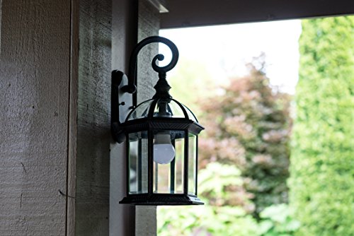 Trans Globe Lighting 4181 BK Wentworth Collection 15 Inch One Light Outdoor Wall Lantern I Black Finish I Traditional Style Light Fixture I