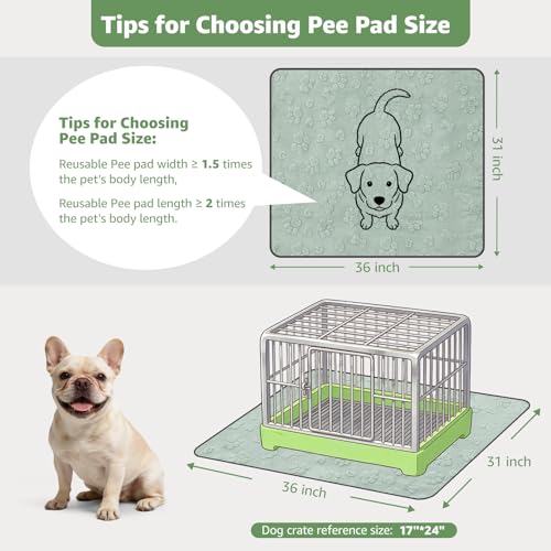 LOOBANI Washable Pee Pads for Dogs: 2 Pack Super Absorbent Reusable Puppy Pads, Leakproof and Waterproof Dog Training Pads Whelping Pads for Potty, Floor, Crate, Couch Bed and Travel, 31"x36" - color: Green Dog Element, size: 31"x36"(Pack of 2)