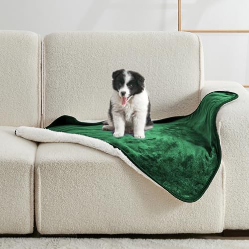 Waterproof Blanket for Bed Couch Sofa, Soft Liquid Pee Proof Pet Blanket for Dog Puppy Cat, Reversible Sherpa Fleece Furniture Protector (Green, 30x40 inches) - color: Green, size: 30x40 inches