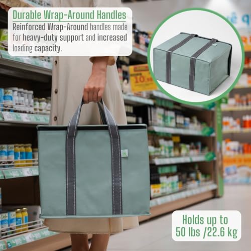 VENO 2 Pack Cooler Bag and Insulated Grocery Bags for Food Delivery, Collapsible Cooler. Reusable Shopping Bags for Groceries with Hard Bottom, Zippered, Foldable, Heavy-Duty (Light Green, 2 Pack) - color: Light Green, size: 15.7"W x 12.6"H x 8.7"D - 2 Pa