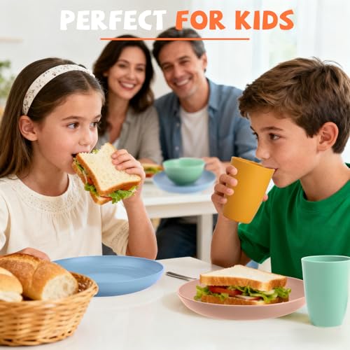 Wheat Straw Dinnerware Sets 20 PCS Service for 4, Unbreakable Kitchen Plates and Bowls Sets, Microwave Dishwasher Safe Dish Set, Outdoor Camping, RV, Apartment Essentials - Colorful - color: Colorful, size: 20 PCS