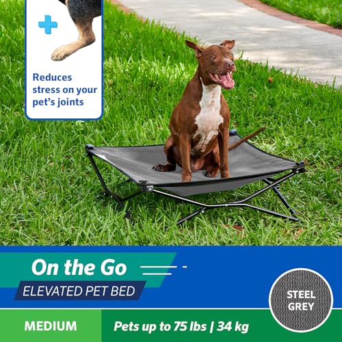 Coolaroo On-The-Go Elevated Dog Bed - Foldable Pop-Up Travel Dog Bed with Breathable, Moisture-Resistant Fabric, Carry Bag Included, Lightweight & Portable, Steel Gray, Medium - color: Steel Grey, style: Medium
