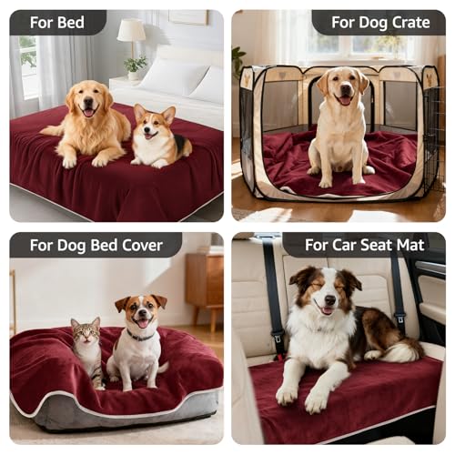 LOOBANI Waterproof Dog Blanket for Couch: Reversible Flannel Bed Blanket for Medium Large Dogs Liquid Proof, Soft Throw Blanket Couch Cover Protector for Sofa, Crate, Travel, Picnic, 50" x 60", Red - color: Red, size: 50" x 60"