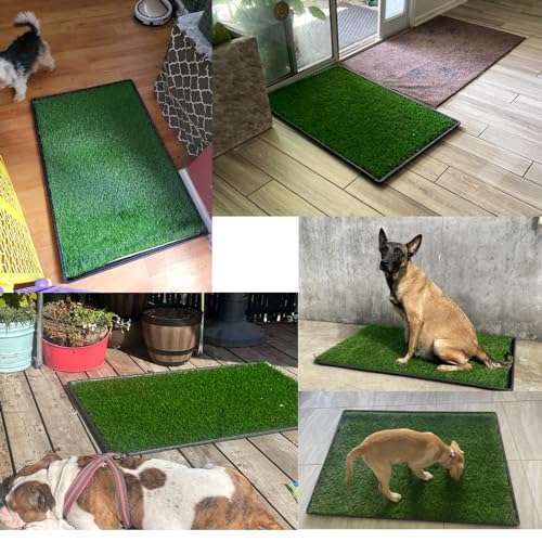 Dog Grass Pad with Tray: 2-Pack Fake Grass, 35 x 21.7 in, Ideal for Medium & Large Dogs - Perfect for Indoor Use, Potty Training