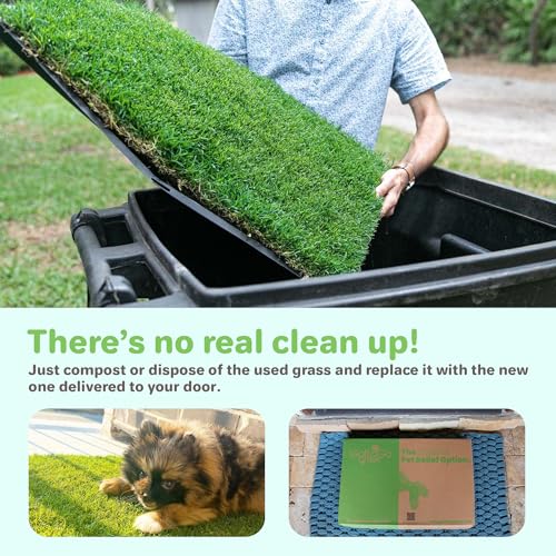 BETHEL Gotta Go Grass, Dog Natural Grass Patch Potty, Real Dog Grass for Pet Training, Dog Grass Pad with Tray, Puppy Potty Training, Dog Accessories, Perfect Indoor/Outdoor Portable Potty Pet Loo - size: 1 Pack, With Tray