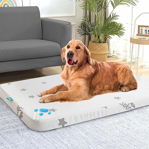 Biloban Waterproof Dog Beds for (Large) Dogs, Washable Mat Pad, Memory Foam Dog Beds & Furniture for Small/Medium Large/XL/XXL Pet with Removable Cover (Light Grey) - color: Light Grey