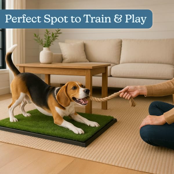 Artificial Grass Puppy Pee Pad for Dogs and Small Pets - 20x25 Inch, Reusable 3-Layer Turf Pads for Dogs with Tray - Indoor and Outdoor Fake Grass Potty Pet Supplies by PETMAKER - size: Medium 3-layer System