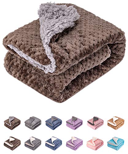 DG-Eagle Grey Plush Fleece Receiving Blanket for Dog, Cat, Couch, Travel - Warm, Soft, 24" x 32" - color: Dg-eagle Grey, size: Blanket (24" x 32")