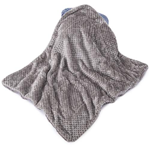 Fuzzy Dog Blanket or Cat Blanket or Pet Blanket, Warm and Soft, Plush Fleece Receiving Blankets for Dog Bed and Cat Bed, Couch, Sofa, Travel and Outdoor, Camping (Blanket (24" x 32"), DG-Flint Gray) - color: Dg-flint Gray, size: Blanket (24" x 32")