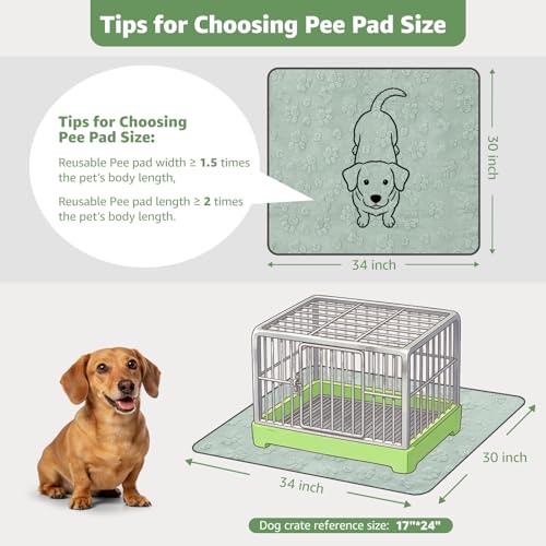 LOOBANI Washable Pee Pads for Dogs: 4 Pack Super Absorbent Reusable Puppy Pads, Leakproof and Waterproof Dog Training Pads Whelping Pads for Potty, Floor, Crate, Couch, Bed and Travel, 30"x34" - color: Green Dog Element, size: 30"x34"(Pack of 4)