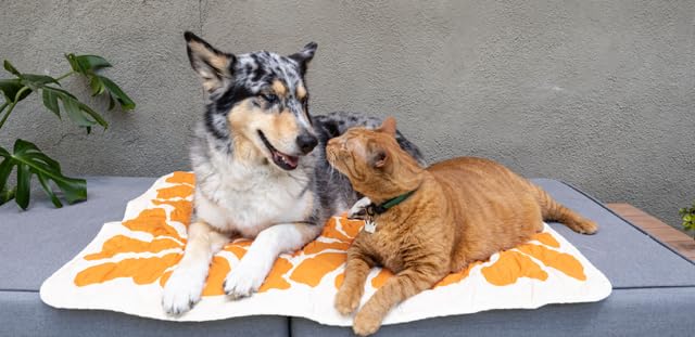 Waterproof Blanket, 29" x 34” - Seat Cover for Dogs and Pets. Ideal for Small and Medium Pet Crate Blankets, Settle mat, Diaper Changing and Playmat for Babies - color: Rust and Green
