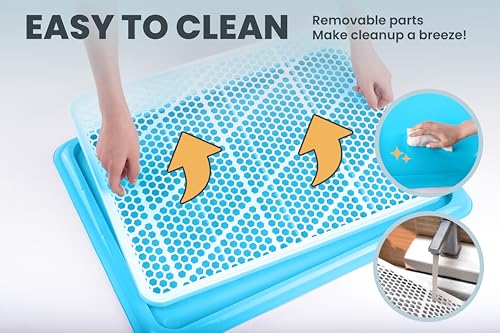 Pet Awesome Dog Potty Tray/Puppy Pee Pad Holder 25”x20” Indoor Wee Training for Small and Medium Dogs - color: Blue