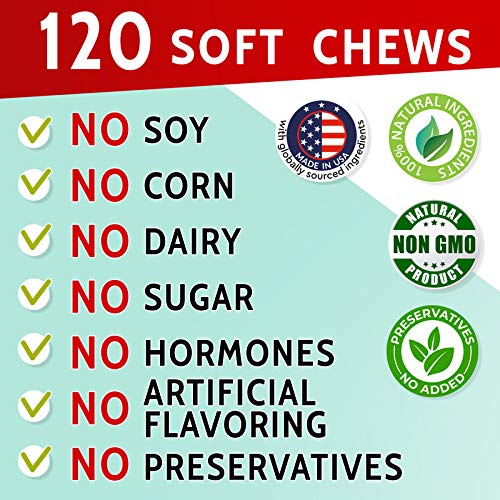 PAWFECTCHEW Green Lawn Chews for Dogs - Green Grass Chews - Urine Neutralizer Grass Burn Spots - Lawn Burn from Dog Urine - Probiotics & Enzymes - Made in USA - Bacon Flavor - 240 Lawn Saver Chews - size: 240Ct (Bacon) - Pack of 2