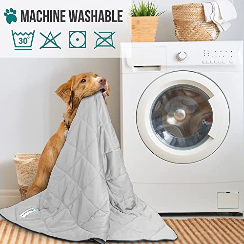 PetAmi Premium Cooling Dog Blanket | Lightweight Fluffy Pet Throw Blanket Bed Cover for Dogs, Cat, Puppies | Pet Blanket Furniture Protector Couch Sofa | Reversible Fuzzy Cozy | 90x90, Light Grey - color: Light Grey, size: Queen (90x90)