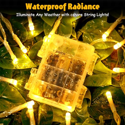 cshare String Lights Outdoor Waterproof 9.8ft 30 LED, Warm White Fairy Lights Battery Operated with Timer Clear Wire for Indoor & Outdoor Decorations Garland Party Garden - color: Warm White