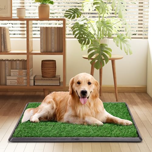 COZIWOW Grass Pad for Dogs with Tray, 30" x 20" Large Dog Grass Pad with Tray Indoor Dog Potty with 3PCS Artificial Grass Pee Pads, Washable Dog Litter Box Pet Toilet for Balcony Apartment - size: L - 30x20x2.2 IN