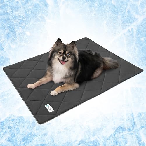 PetAmi Premium Cooling Dog Blanket | Lightweight Fluffy Pet Throw Blanket Bed Cover for Dogs, Cat, Puppies | Pet Blanket Furniture Protector Couch Sofa | Reversible Fuzzy Cozy | 24x32, Grey - color: Grey, size: Small (24x32)