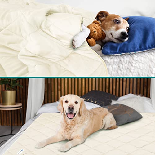 PetAmi Premium Cooling Dog Blanket | Lightweight Fluffy Pet Throw Blanket Bed Cover for Dogs, Cat, Puppies | Pet Blanket Furniture Protector Couch Sofa | Reversible Fuzzy Cozy | 60x80, Beige Latte - color: Beige Cream, size: X-Large (60x80)