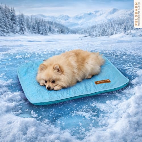 Pelsbarn Dog Cooling Mat- Ice Silk Summer Comfort, Self Cooling, Non-Slip Dog Pad, Durable & Washable, Mat for Extra Small Dogs 15 x 19, Support Shelter Dogs with Every Purchase (Blue) - color: Light Blue, size: Extra Small