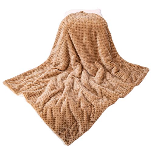 DW-Mocha Fuzzy Dog, Cat & Pet Blanket - Warm & Soft Plush Fleece Receiving Blanket for Dog Bed, Cat Bed, Couch, Sofa, Travel & Outdoor, Camping (24" x 32") - color: Dw-mocha, size: Blanket (24" x 32")