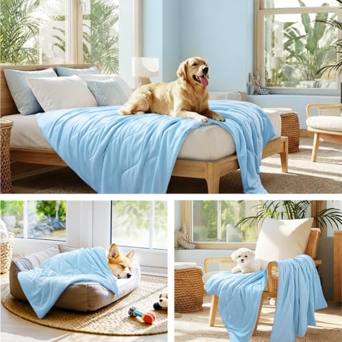 Luciphia Premium Cooling Dog Blanket Washable Q-MAX>0.5 Small Medium Large Pet Mat Puppy Cat Self-Cooling Soft Breathable Calming Throw for Sofa Crate Bed (Light Blue,29x40 inches) - color: Light Blue, size: 29x40 inches