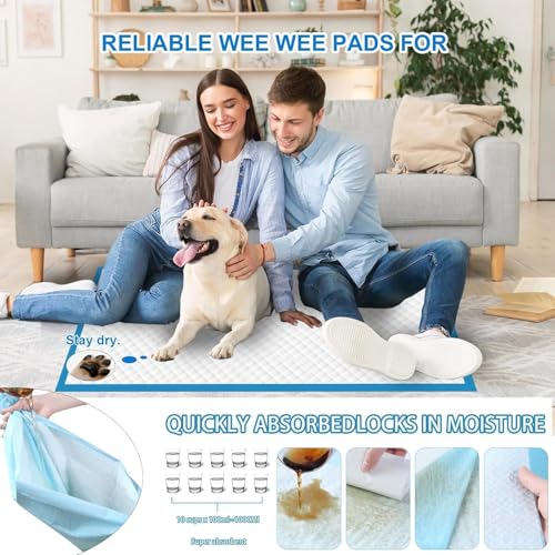 XXXXL Puppy Pee Pads for Dogs 31"x47" 40 Count, Extra Large Dog Pee Pads, Leak-Proof & Super Absorbent Dog Pee Pads, Thicken Disposable Potty Pads Puppy Training Pads for Cats Rabbits - size: 31"x47" 40 Count