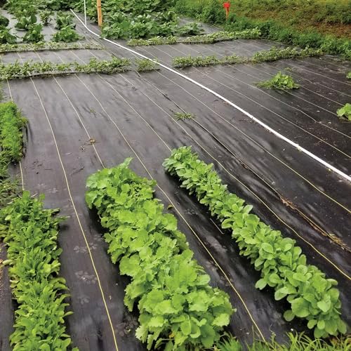 Dewitt Sunbelt Weed Barrier Fabric 3.2 oz, 6 x 300 Feet – Heavy-Duty Ground Cover Mat for Greenhouse Floors, Garden Rows, Raised Beds, Yard Gardening, and Outdoor Landscape Protection - size: 1 Pack, style: 6' x 300'