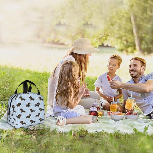 Dachshund Dog Lunch Box,Insulated Lunch Bag for Girls Boys,Reusable Lunch Box for Kids Adults School Student Work Picnic Travel - color: Dachshund Dog