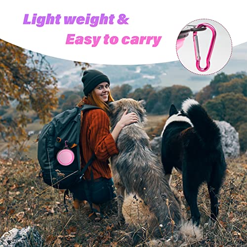 Dog Bowl Pet Collapsible Bowls, 2 Pack Collapsible Dog Water Bowls for Cats Dogs, Portable Pet Feeding Watering Dish for Walking Parking Traveling with 2 Carabiners (Small, Black & Pink) - color: Black & Pink, size: Small