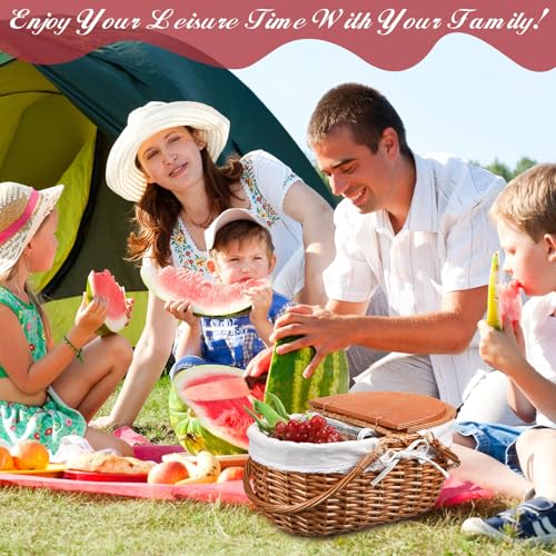 DoubleFill Wicker Insulated Picnic Basket with Lid Wicker Picnic Basket with Folding Handles and Insulated Cooler Bag for Camping Outdoor Easter Valentine Birthday Gift(White) - color: White