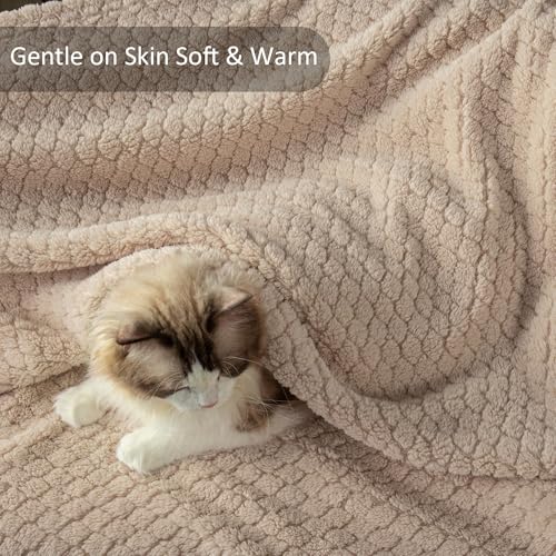 Exclusivo Mezcla Fleece Throw Blanket for Couch and Bed,Extra Soft Warm Decorative Fuzzy Throws for Women,Lightweight Cozy Blankets Size 50x60 Inches, Camel - color: Camel, size: Throw ( 50x60 IN )