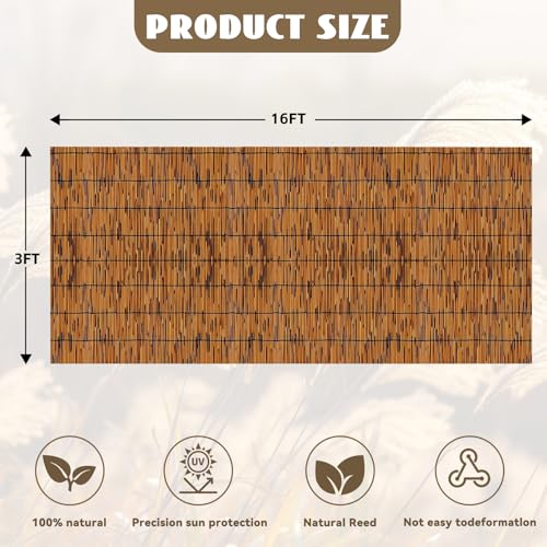 KOIUEYW Bamboo Reed Fencing, Light Russet Bamboo Fence Rolls 3 Feet High, Decorative Reed Curtains Privacy Screen Outdoor for Patio Balcony Garden Backyard, 3 x 16 FT - color: Light Russet, size: 3 x 16 FT