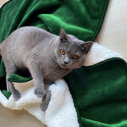 Waterproof Blanket for Bed Couch Sofa, Soft Liquid Pee Proof Pet Blanket for Dog Puppy Cat, Reversible Sherpa Fleece Furniture Protector (Green, 30x40 inches) - color: Green, size: 30x40 inches
