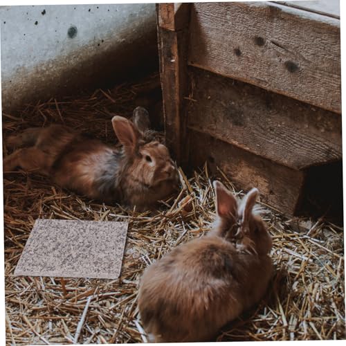 Cooling Marble Board for Hamsters Rabbits Guinea Pigs Summer PET Cooling Plate Non-Toxic Pressure-Activated