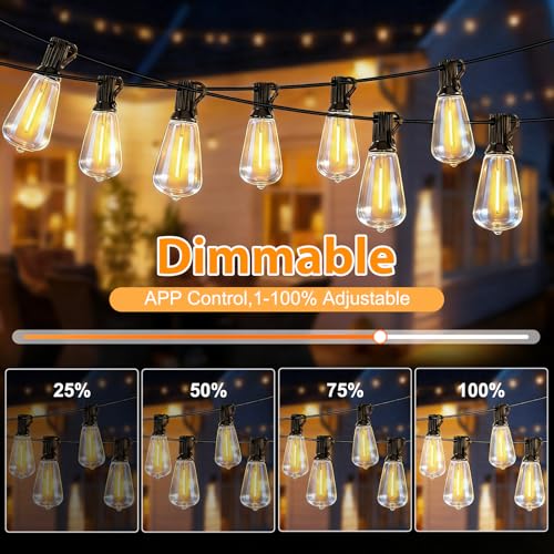 LumBelle Smart Outdoor String Lights, 100FT ST38 LED Patio Lights with Timer Remote APP Control, 42 Shatterproof LED Bulbs (2 Spare), Dimmable Waterproof Hanging Light for Backyard Porch Party Decor - size: 100FT