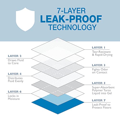 Four Paws Wee-Wee Odor Control with Febreze Freshness Pee Pads for Dogs & Puppies, Leak-Proof Dog Housebreaking Potty Training Floor Protection, Spring Fresh Scent, 22" x 23", 100 Count - size: 22" X 23"